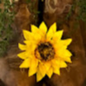 Meet your Posher, Tracie